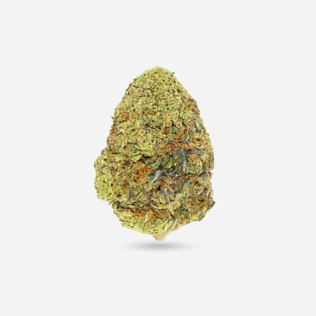 Gorilla Glue - Hybrid