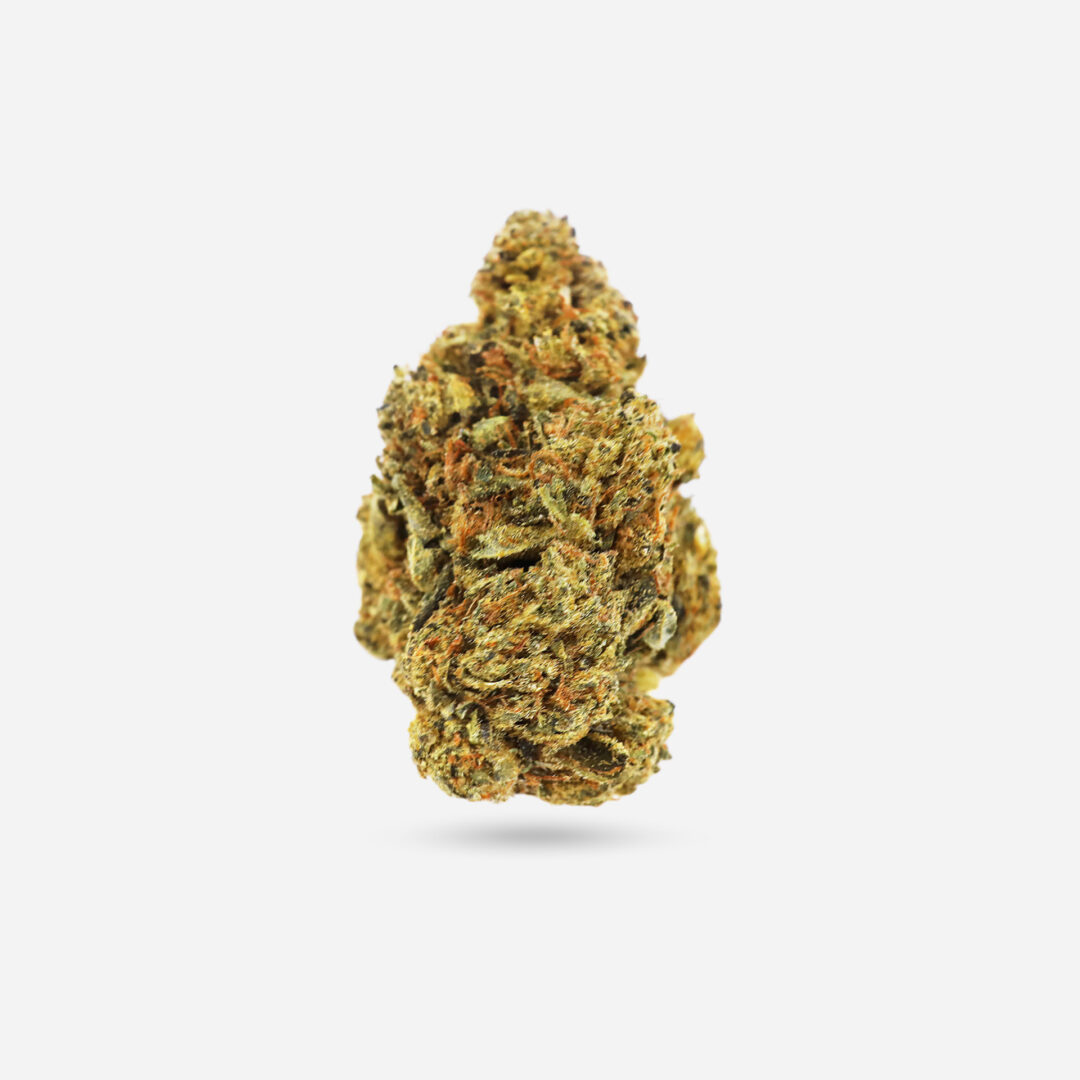 Hindu Kush - Indica