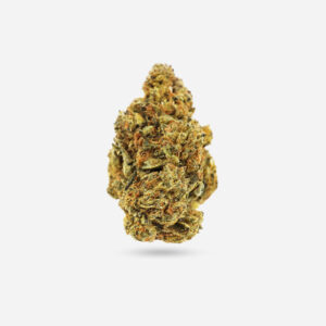 Hindu Kush - Indica