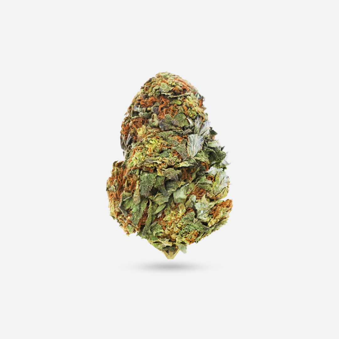 Do-Si-Dos - Indica