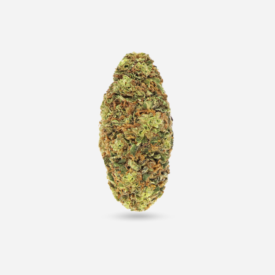 Sensi Star - Indica