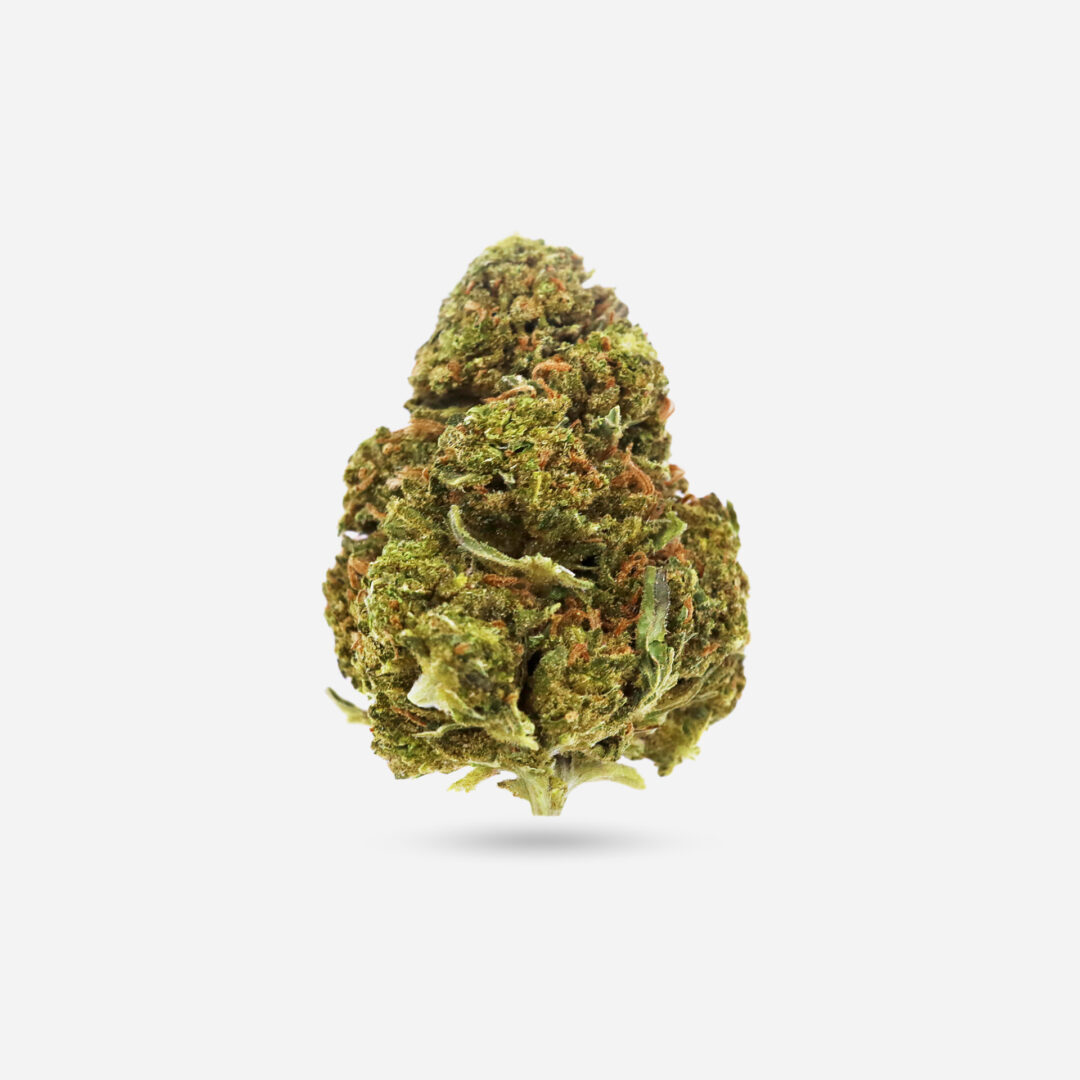 IMG_1873 trainwreck Trainwreck - Sativa