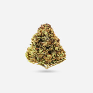 Cereal Milk - Hybrid