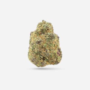 Warhead - Hybrid