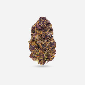 Purple Urkle - Indica