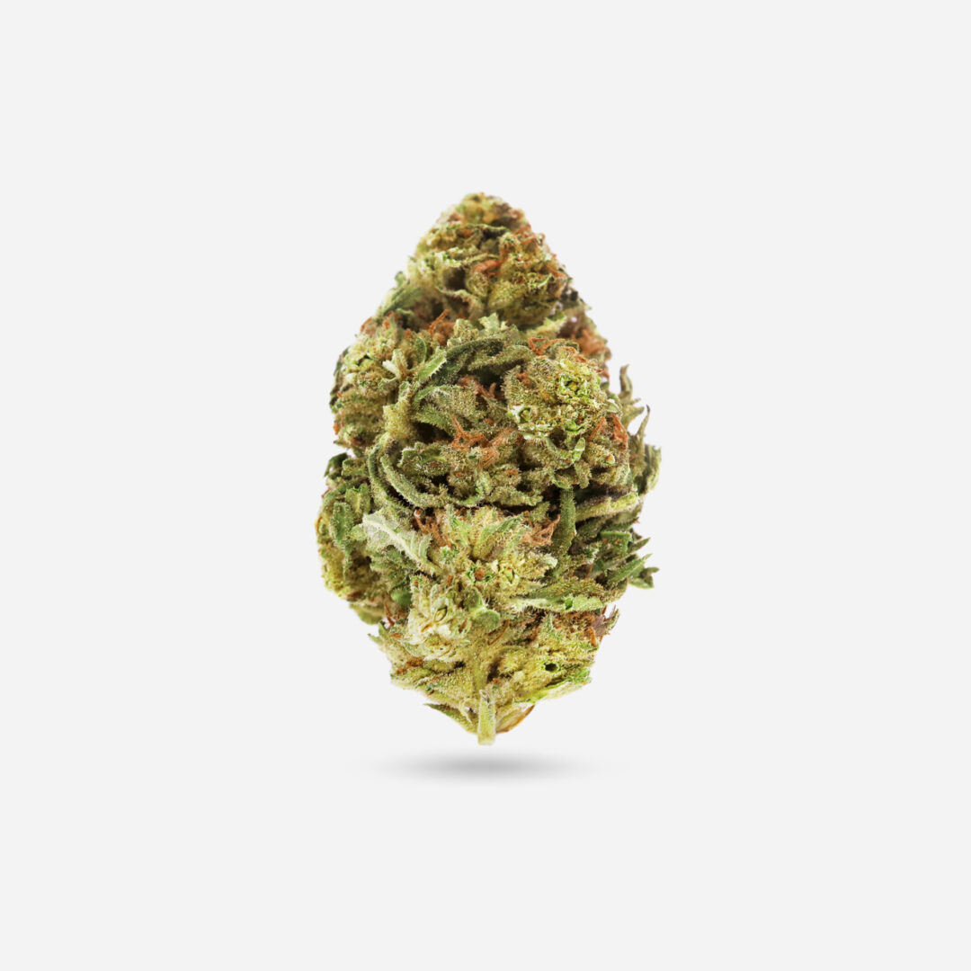 Biscotti - Indica