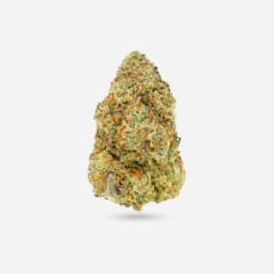 Pink Rozay - Indica