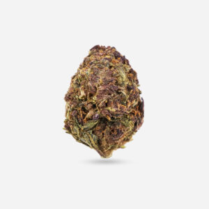 Purple Punch - Indica