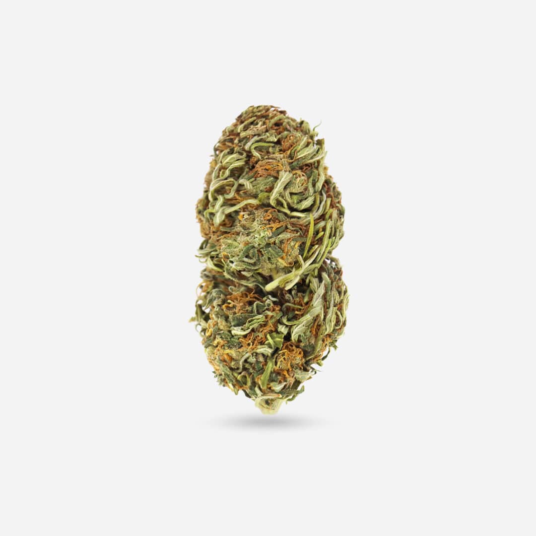 Jungle Kush - Indica