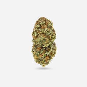 Jungle Kush - Indica