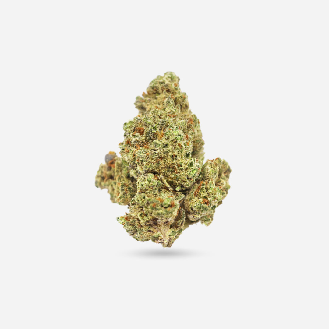 IMG_0829 king tut King Tut - Sativa