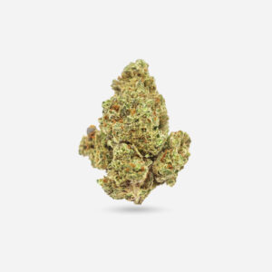King Tut - Sativa