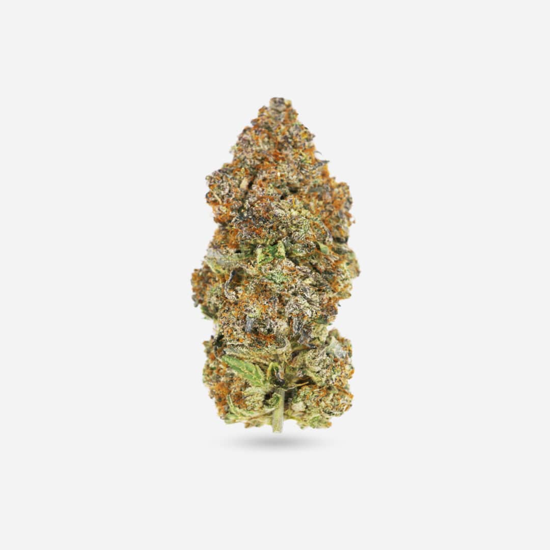 IMG_1818 frosted fruit cake Frosted Fruit Cake - Sativa