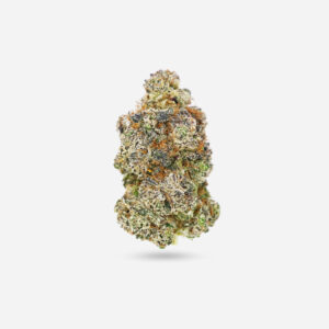God Berry - Hybrid