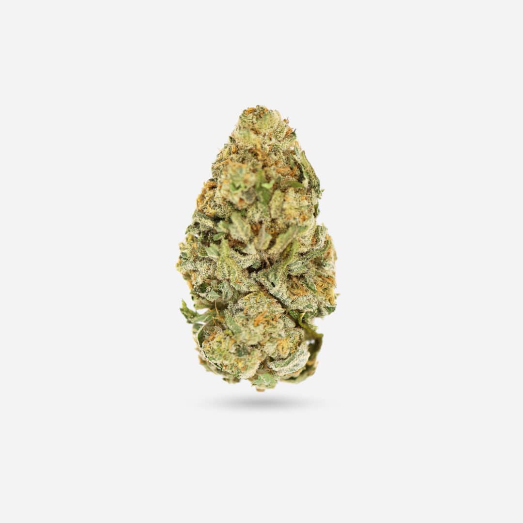 Orange Crush - Sativa