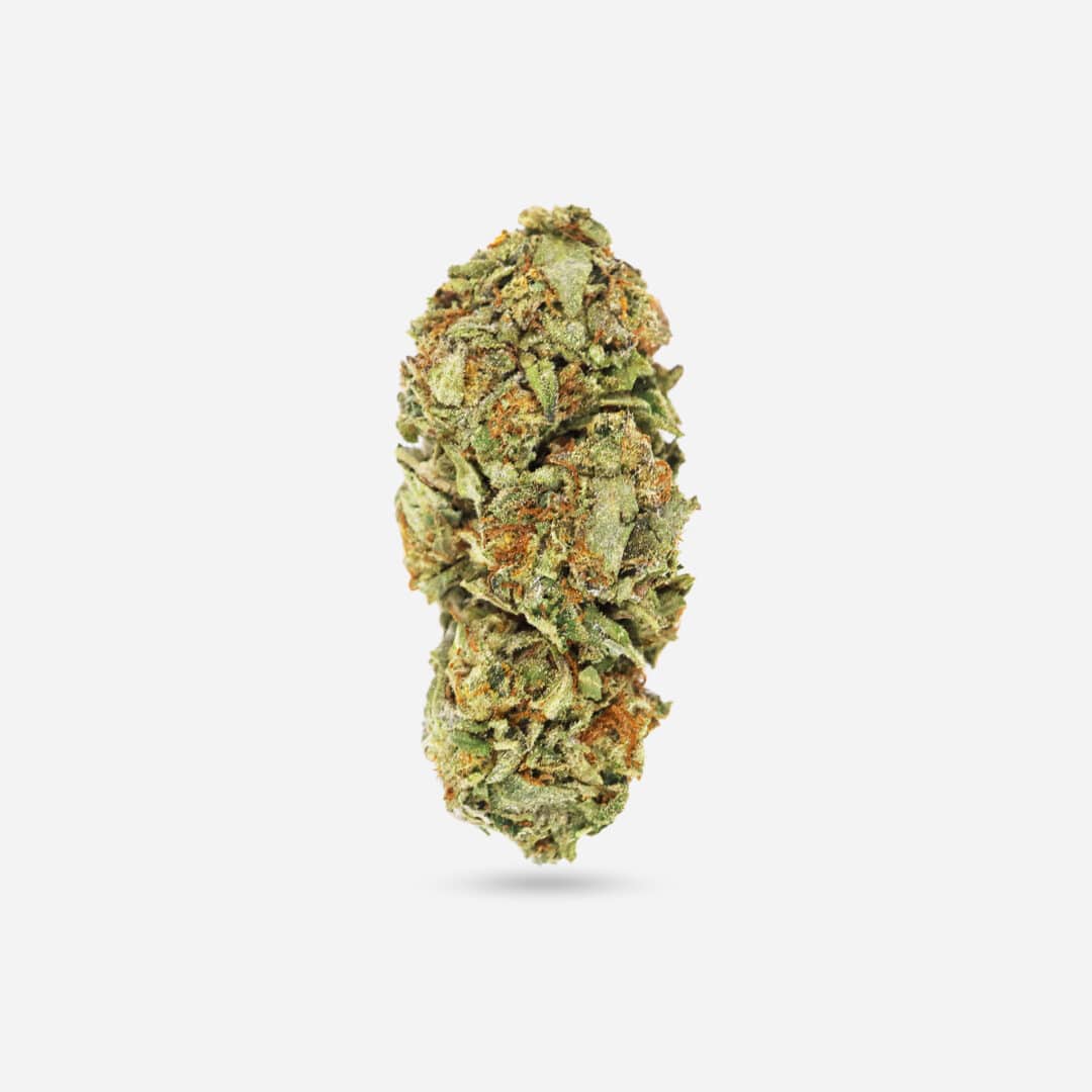 Alien Punch - Hybrid