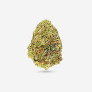 Gorilla Glue - Hybrid