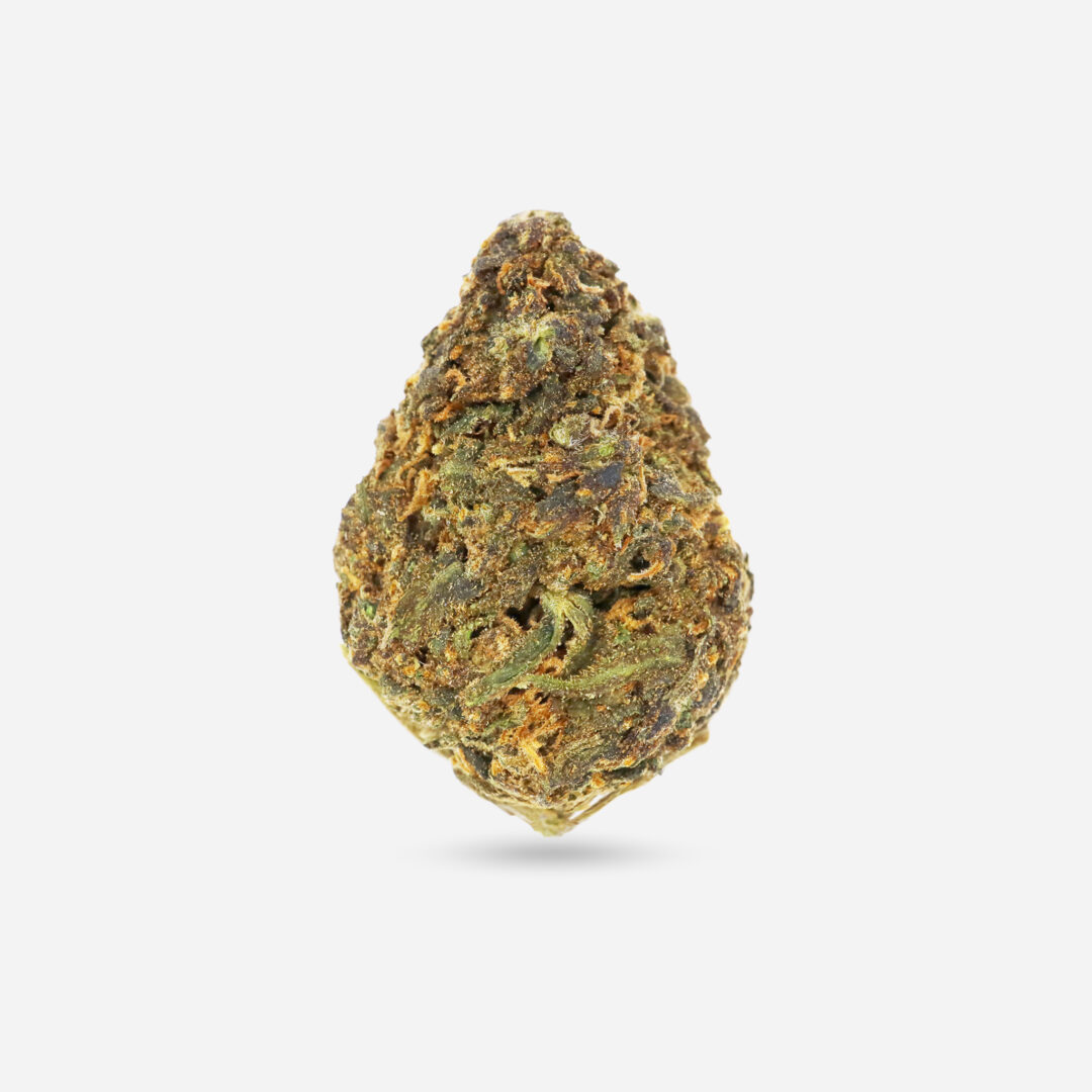 IMG_0801 super lemon haze