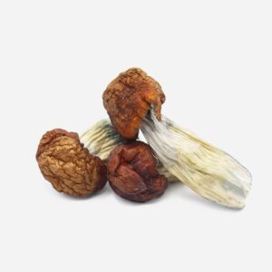 Blue Pulaski Magic Mushrooms