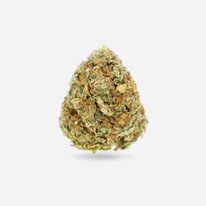 Girl Scout Cookies - Hybrid