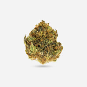 Wedding Crasher - Hybrid