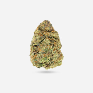 Animal Mintz - Hybrid