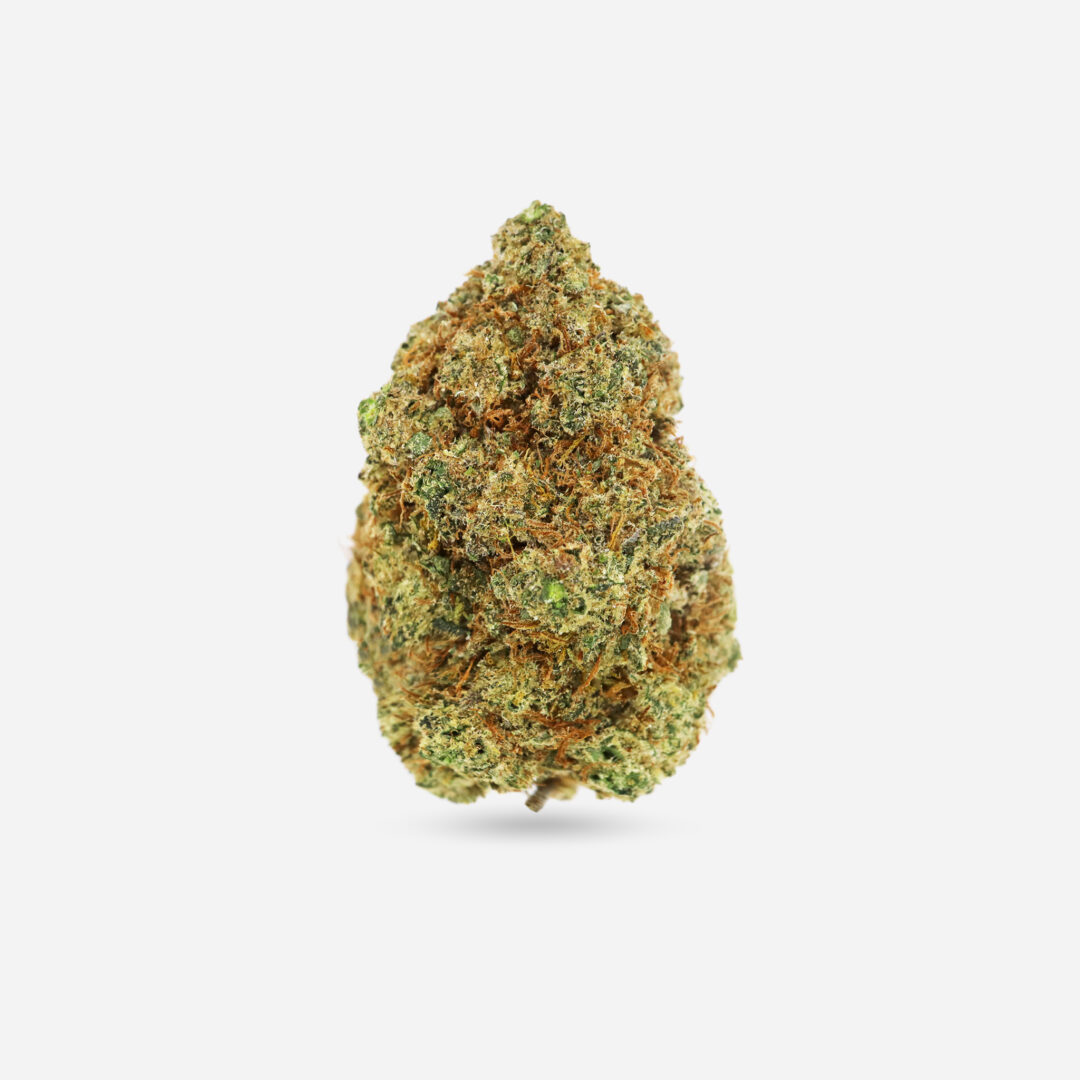 IMG_0470 northern lights