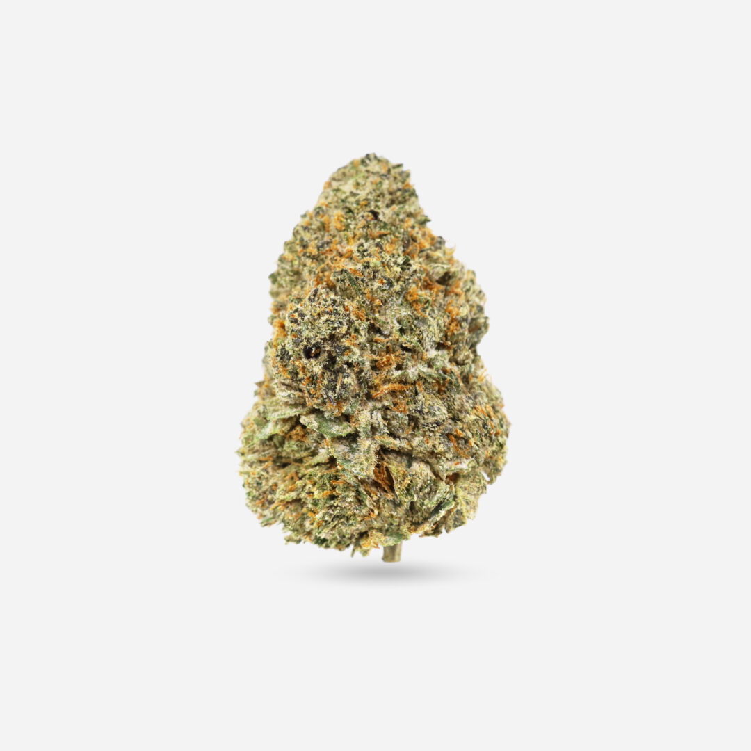 IMG_1471 ak47 AK-47 - Hybrid