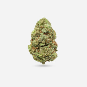 Jack Herer - Sativa