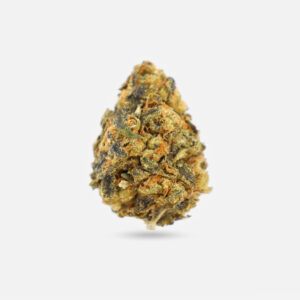 California Orange - Hybrid