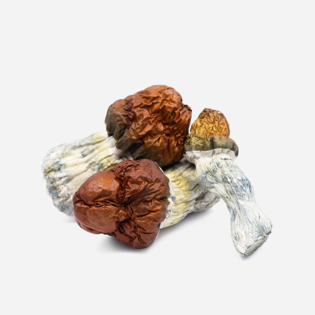 IMG_1057 TEXAS YELLOW CAP