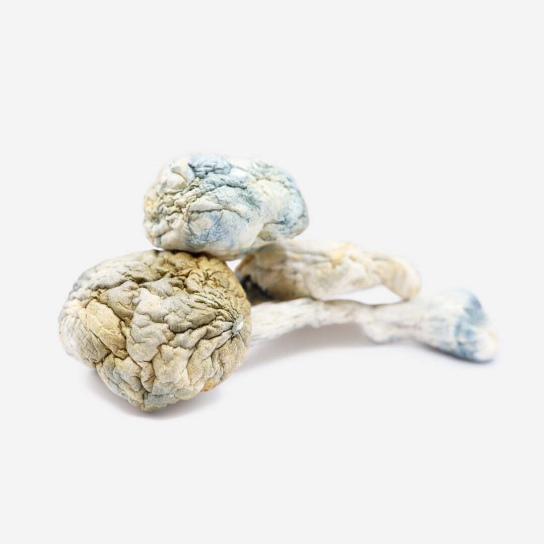 IMG_1061 ALIEN BUBBLE