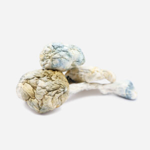 Alien Bubbles Magic Mushrooms