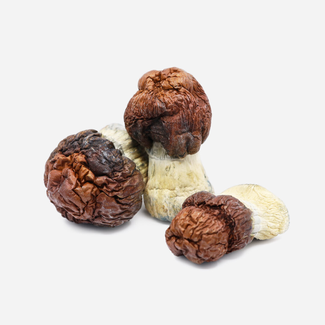 IMG_1075 BLUEY VUITTON