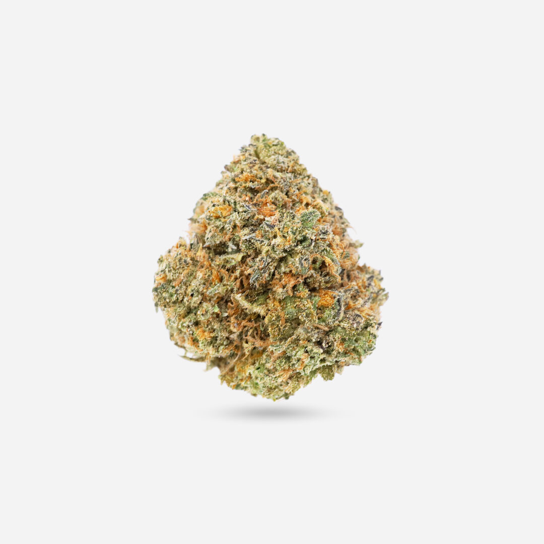 IMG_1298 master kush Master Kush - Indica