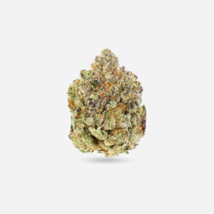 NYC Diesel - Hybrid