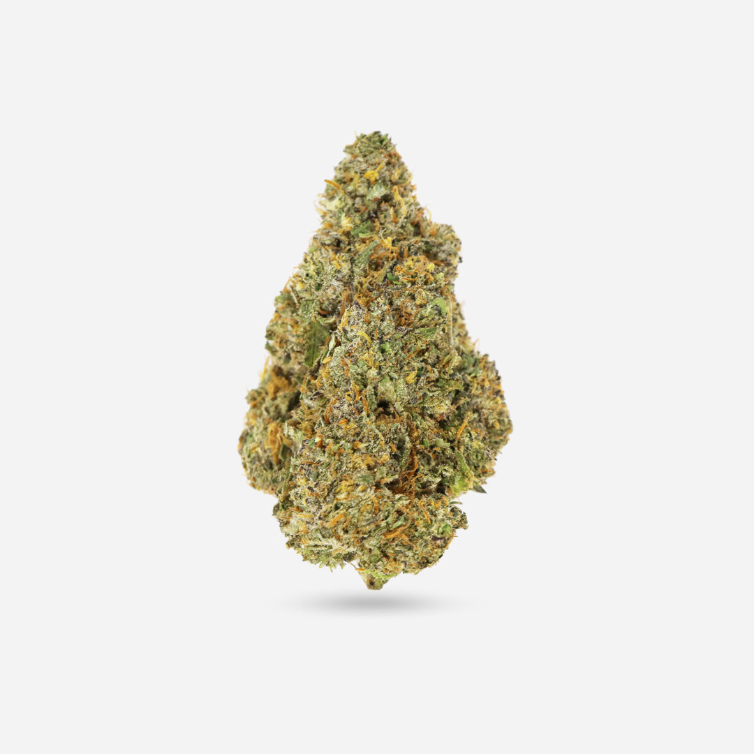 Bluefin Tuna Bluefin Tuna - Hybrid