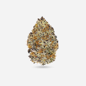 Sunset Gelato - Indica