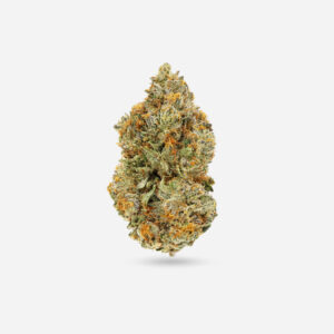 Sherb Cream Pie - Indica