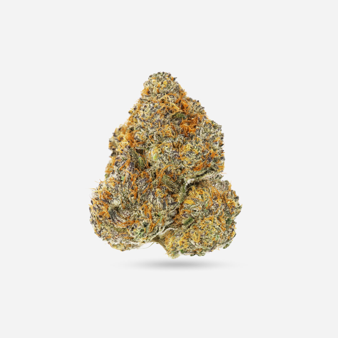 IMG_0310 Gelato cake