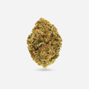 King's Kush - Indica