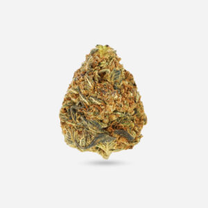 California Orange - Hybrid