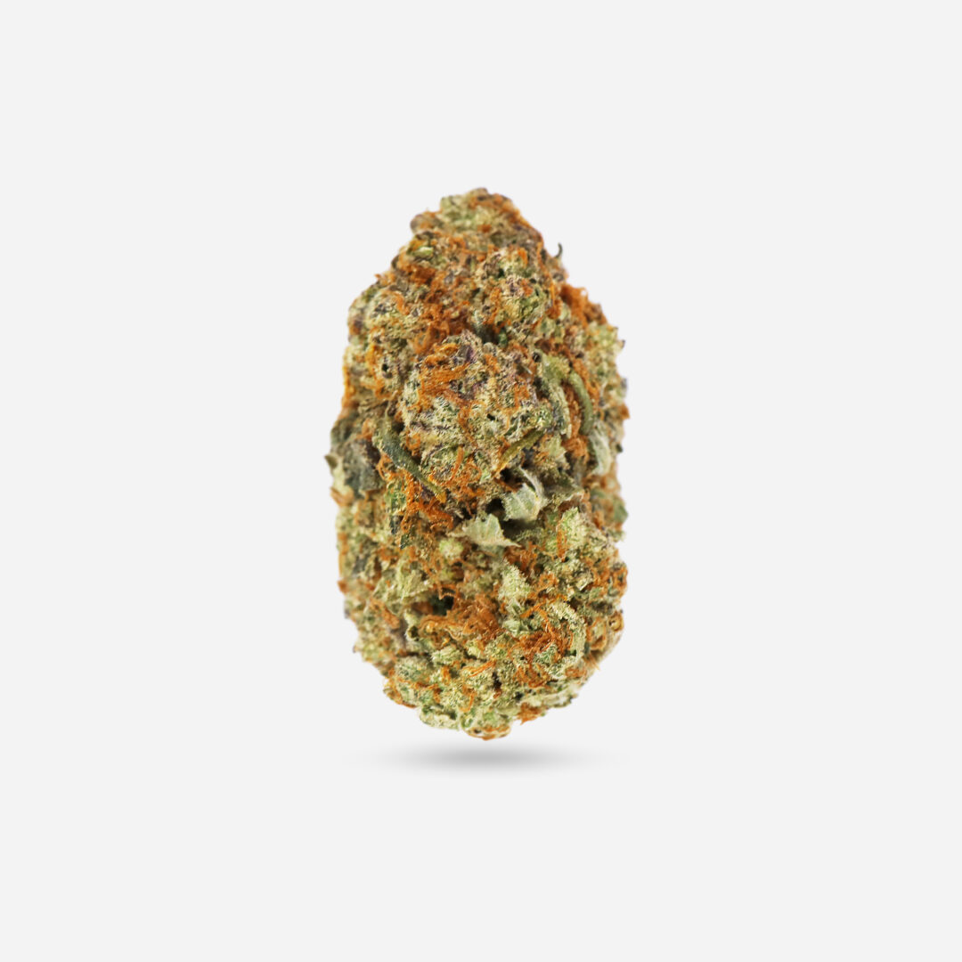 IMG_0495 tropic thunder Tropic Thunder - Sativa
