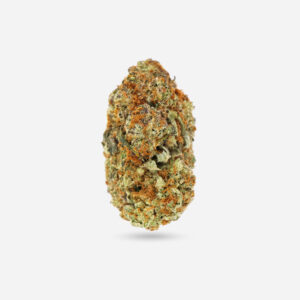 Tropic Thunder - Sativa