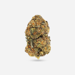 Crystal Coma - Sativa