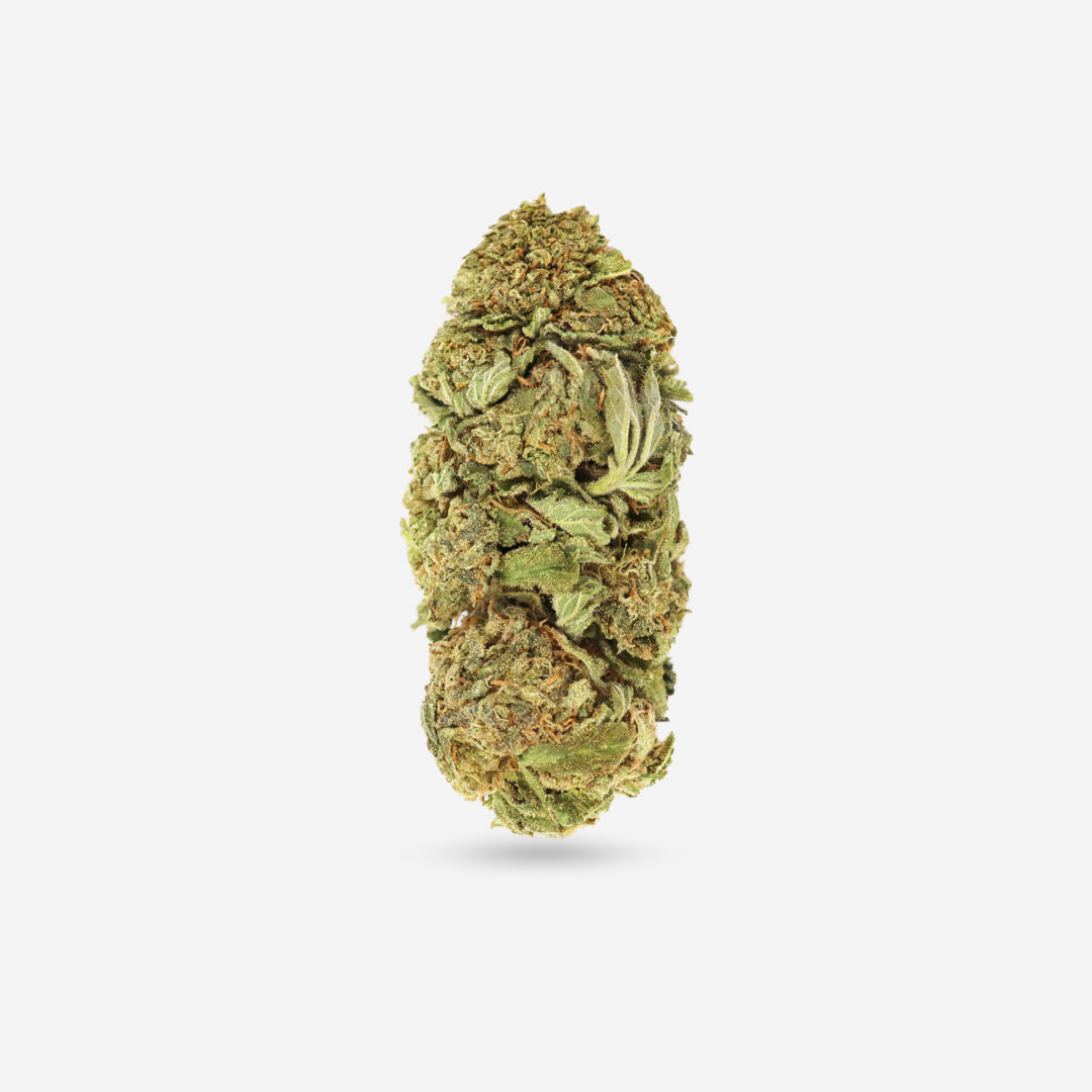 IMG_0814 goji og