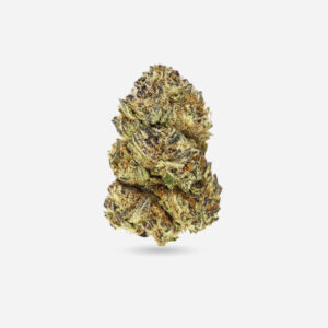 Pink Lemonade Gelato - Sativa