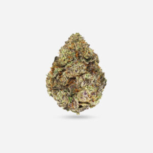 Gushers - Hybrid