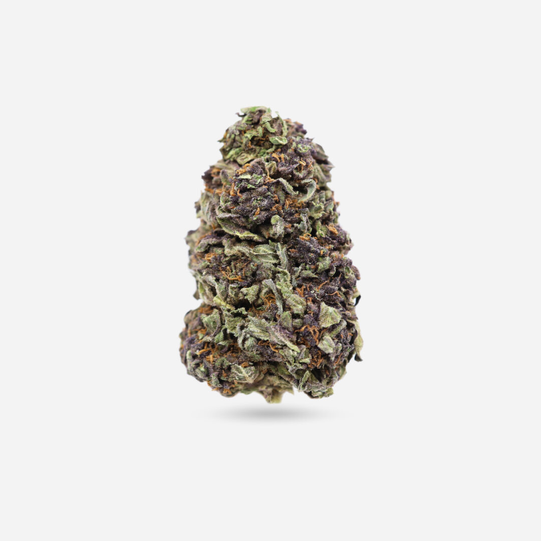 IMG_0993 #4 Purple Ghost Candy Purple Ghost Candy - Sativa
