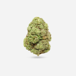 Cherry Bomb - Hybrid